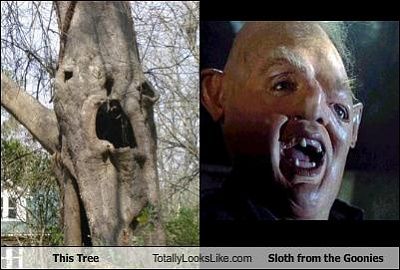 tree-totally-looks-like-sloth-goonies.jpg