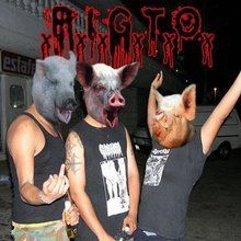 pigto_band.jpg