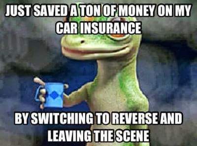 FB_IMG_1681901775746.jpg