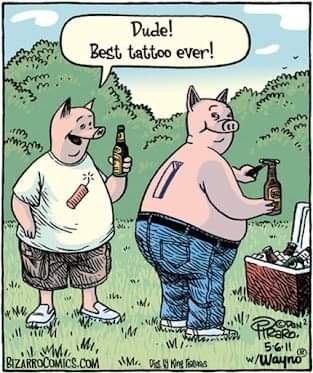 FB_IMG_1692759588598.jpg