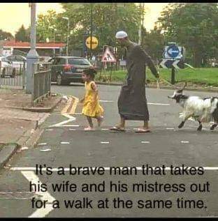FB_IMG_1694097355353.jpg