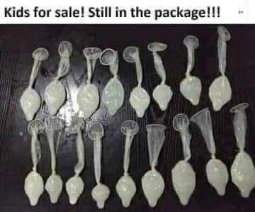 FB_IMG_1694262722775.jpg