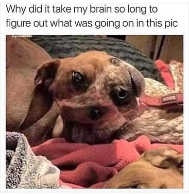 fb_img_1697959442855.jpg