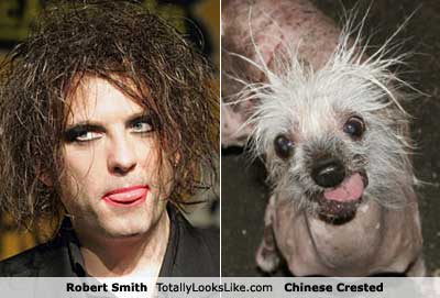 3robert-smith.jpg