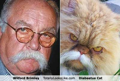 6wilford-brimley.jpg