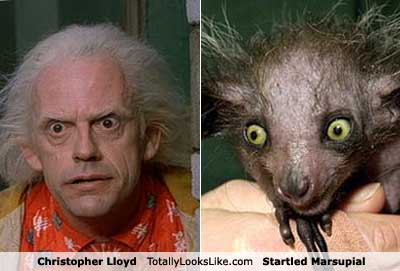 christopher-lloyd.jpg