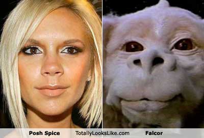 posh-spice.jpg
