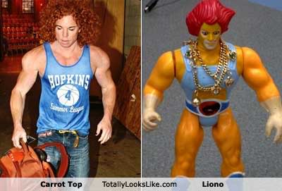 carrot-top2.jpg