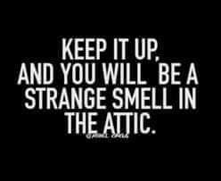 FB_IMG_1702208753890.jpg