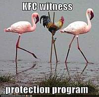 FB_IMG_1709735075548.jpg