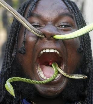 070307snakes.jpg