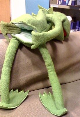 toadse.jpg