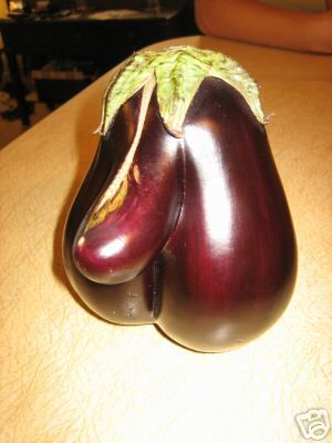 eggplant1.jpg