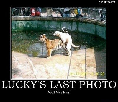 luckys_last_photo.jpg