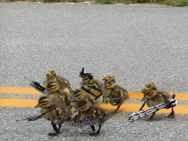 soldierchicks.jpg