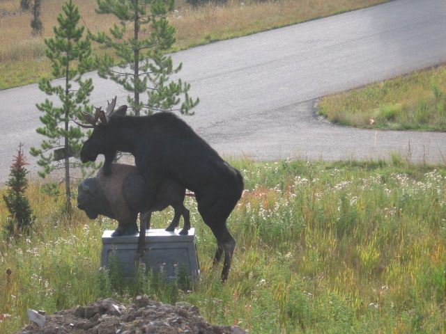 Moose humping a statue..jpg