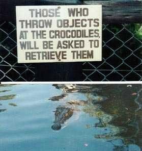 dont-throw-objects.jpg