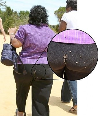 ass.jpg