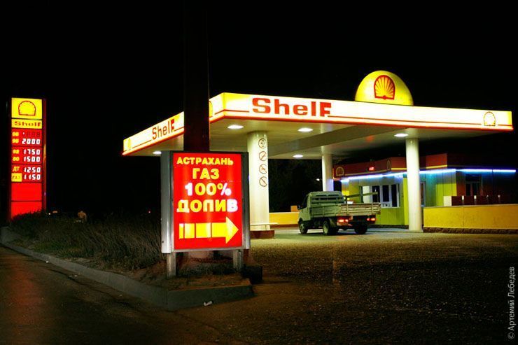 shell shelf.jpg