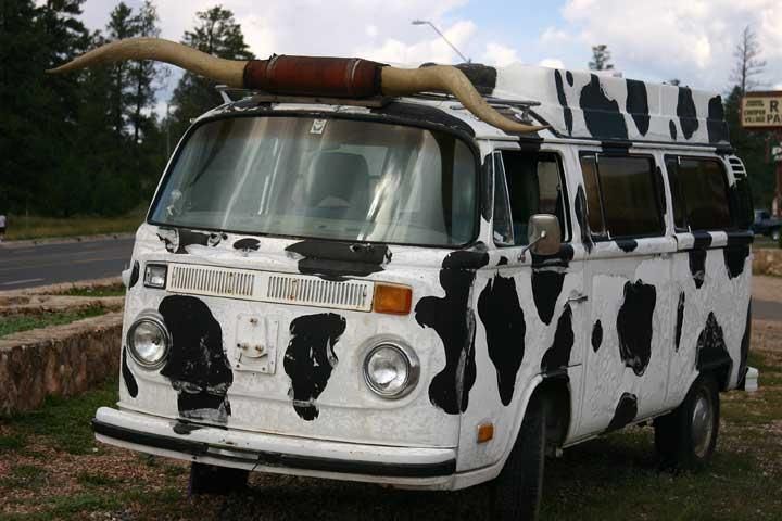 cow car 2.jpg