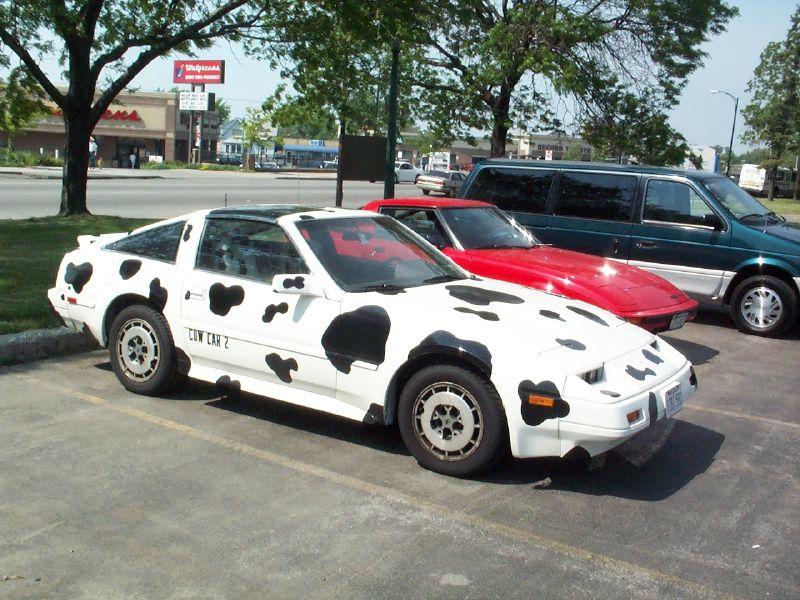 cow car 3.jpg