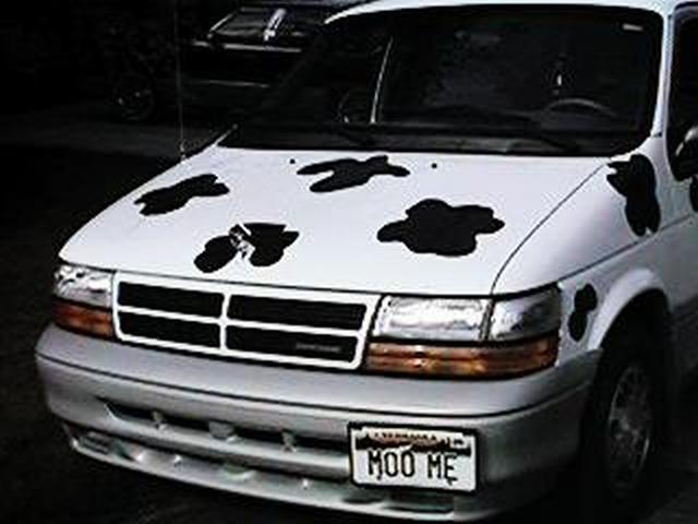 cow car 4.jpg