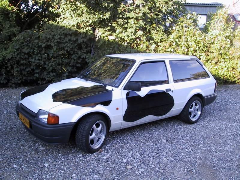 cow car 5.jpg