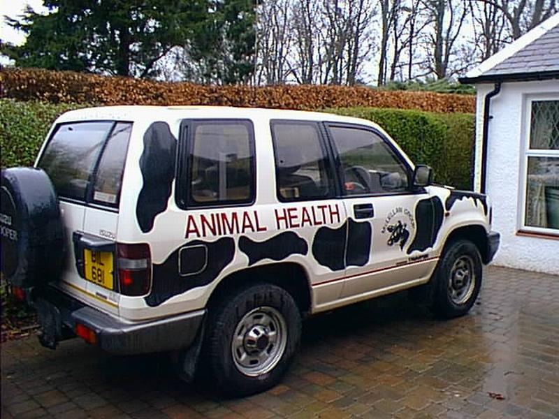 cow car 6.jpg