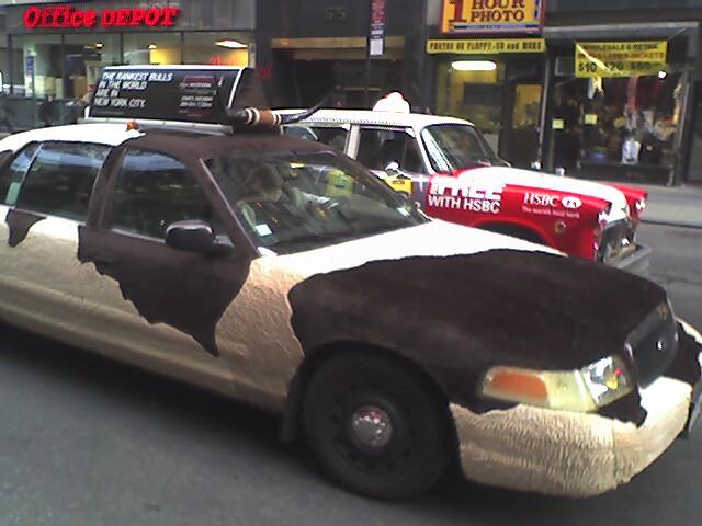cow car 7.jpg
