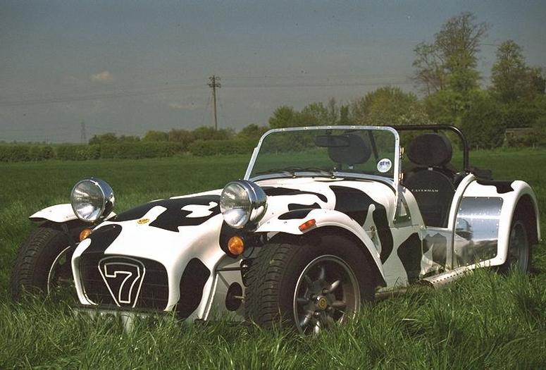 cow car 8.jpg