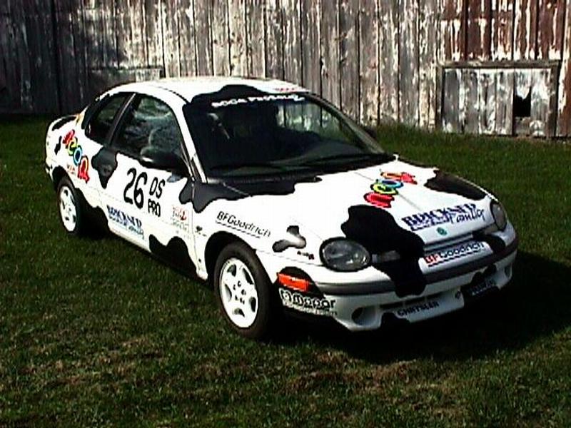 cow car 9.jpg