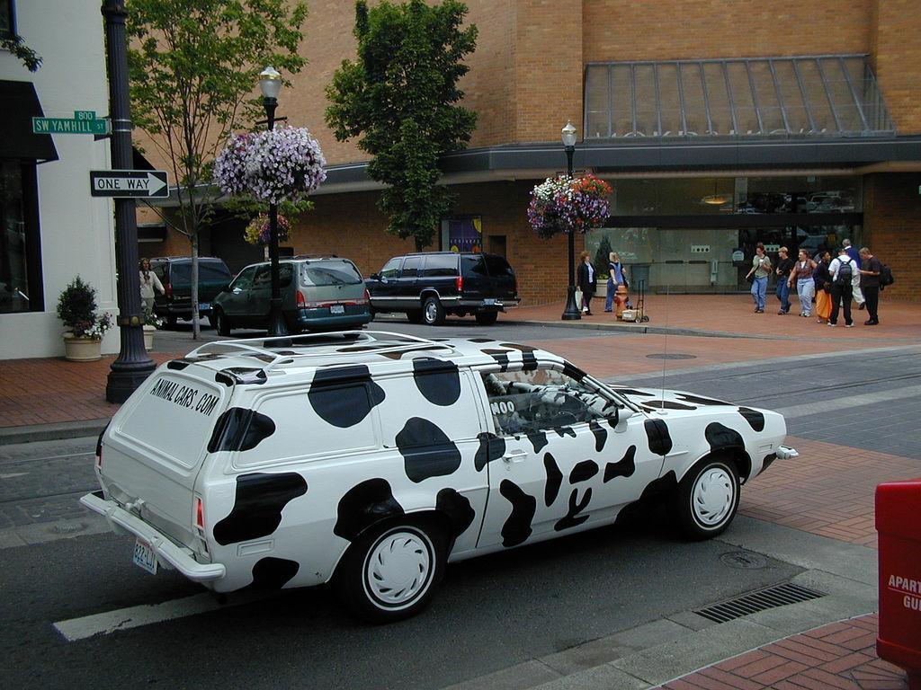 cow car 10.jpg