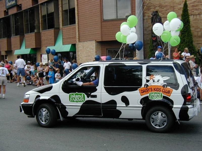 cow car 11.jpg