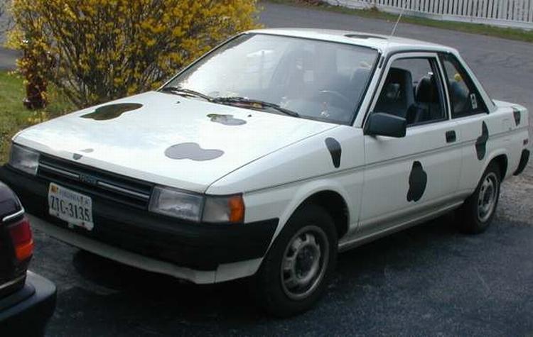 cow car 14.jpg