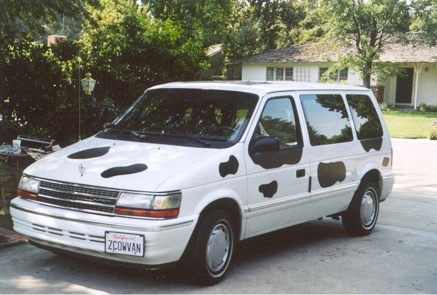 cow car 15.jpg