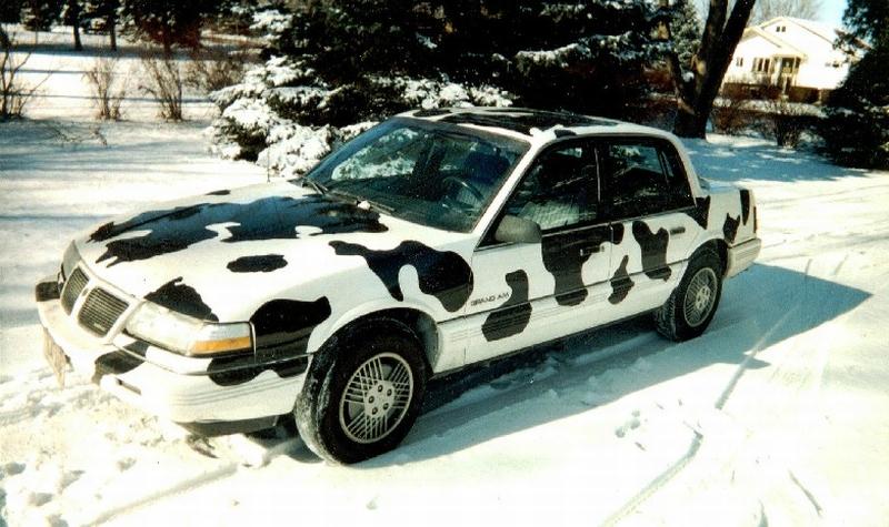 cow car 16.jpg