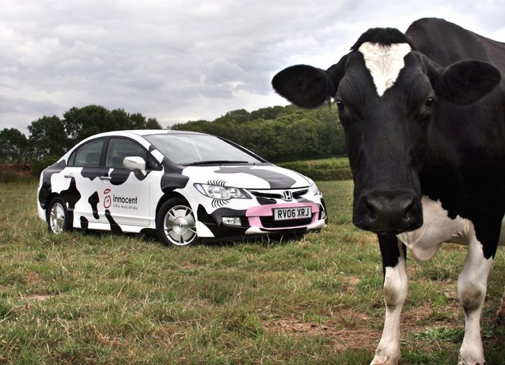 cow car 18.jpg