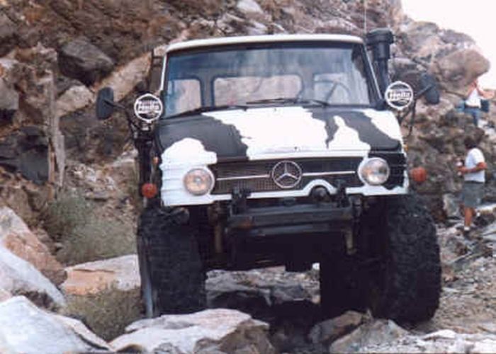 cow car 19.jpg