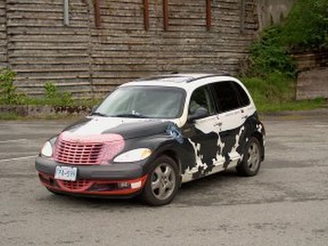 cow car 20.jpg