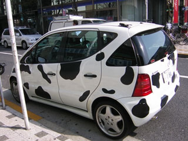 cow car 21.jpg