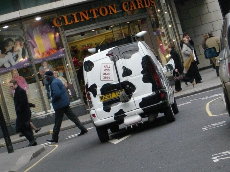 cow car 22.jpg
