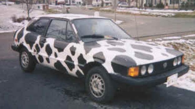 cow car 24.jpg