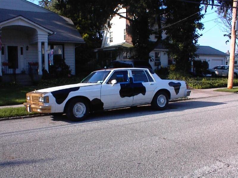 cow car 25.jpg