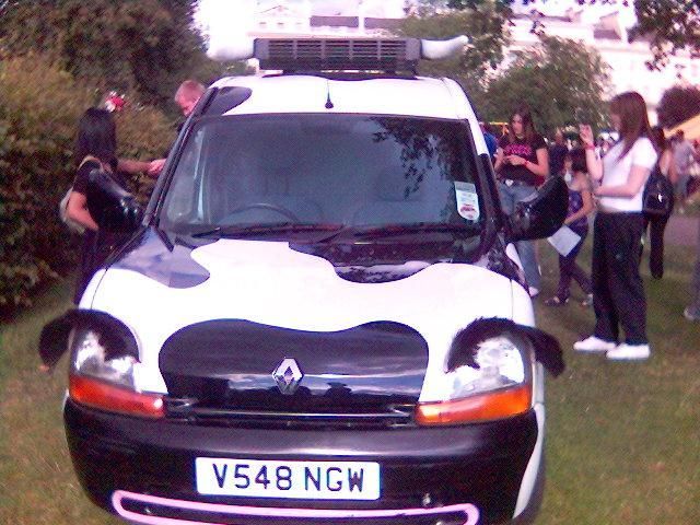 cow car 27.jpg