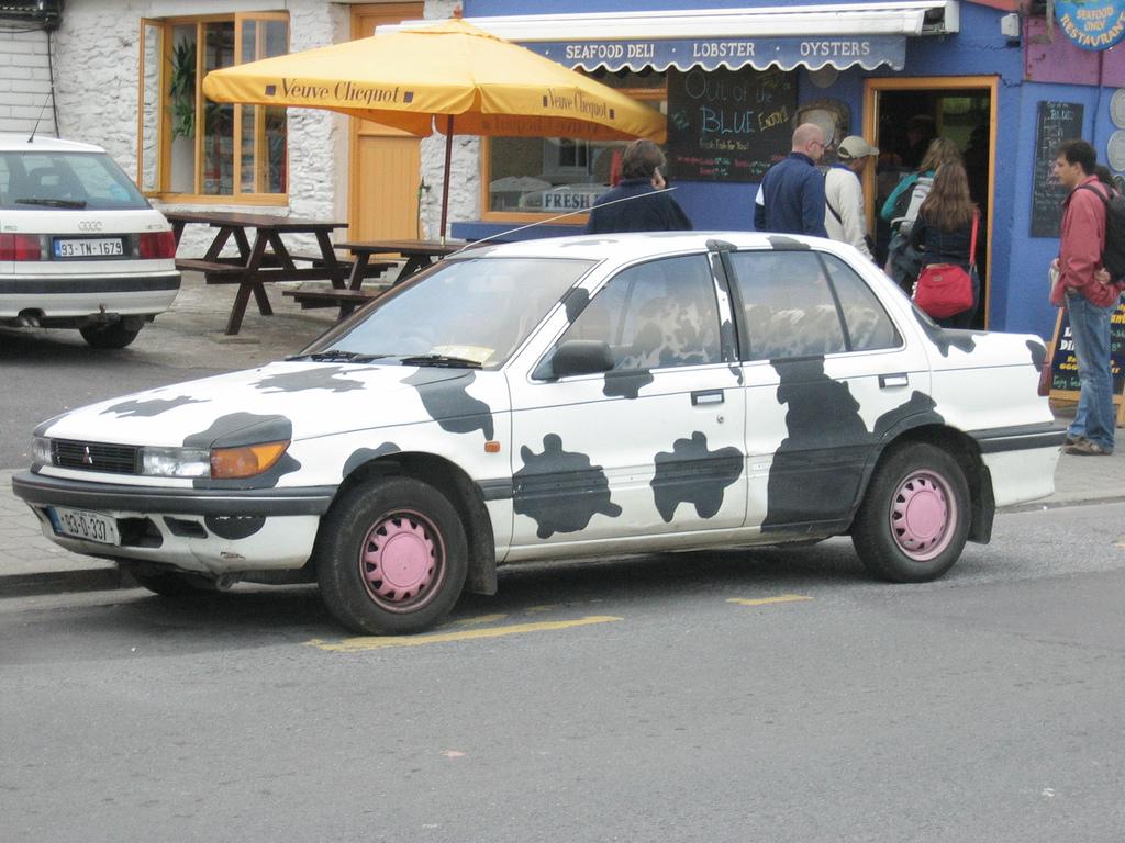 cow car 29.jpg