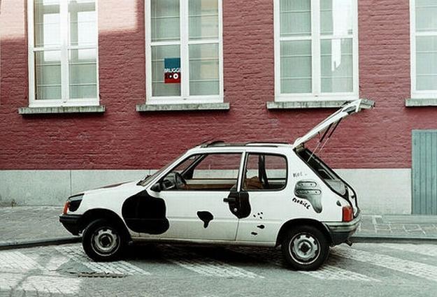 cow car 30.jpg