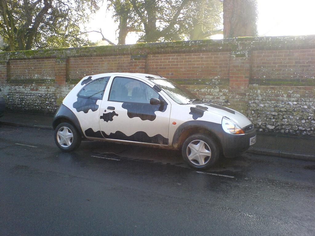 cow car 32.jpg