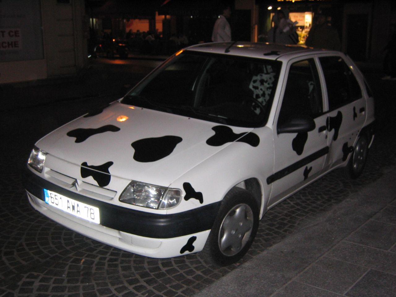 cow car 33.jpg