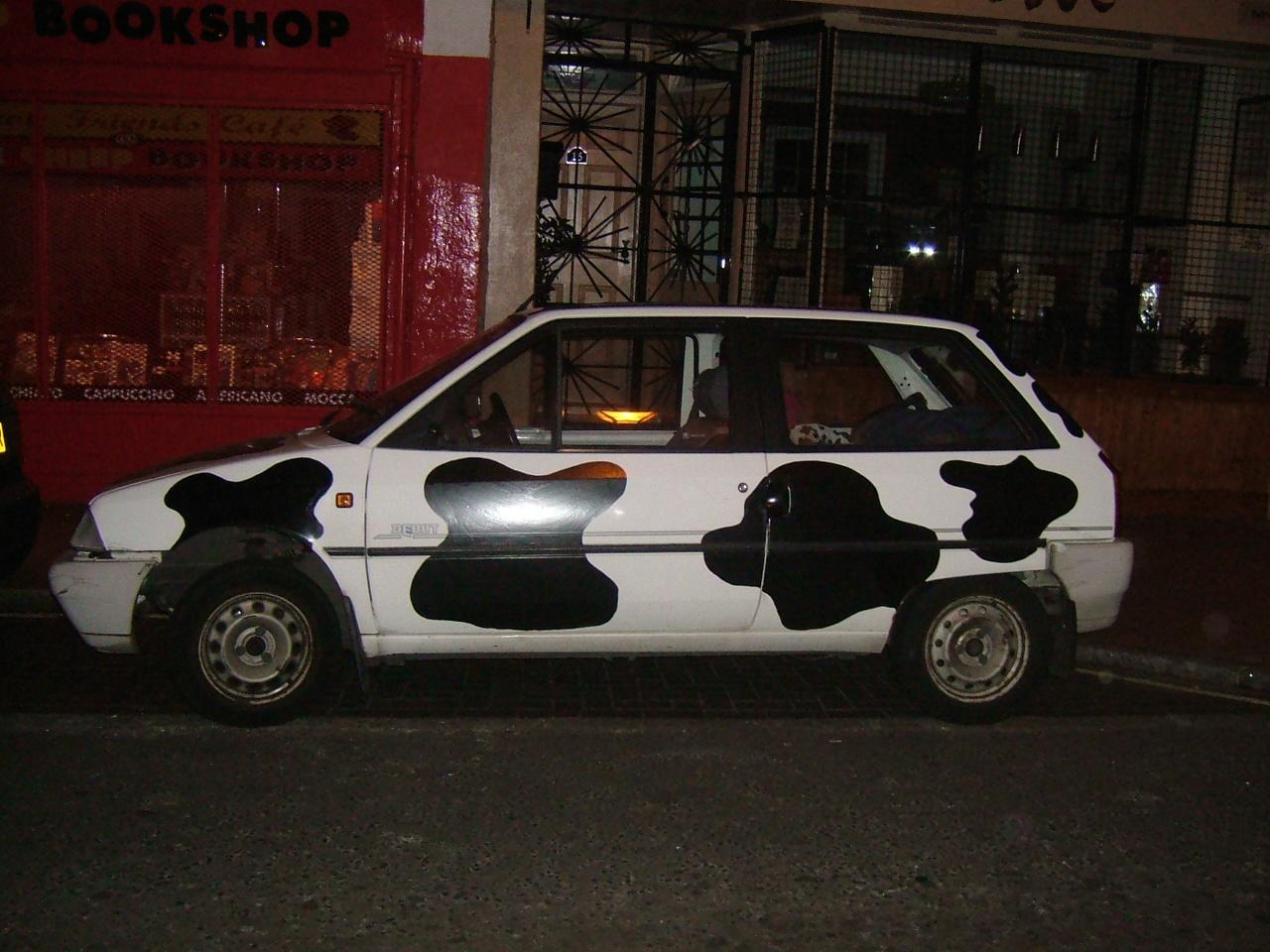 cow car 34.jpg