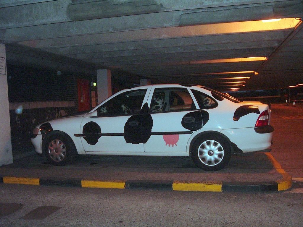 cow car 36.jpg